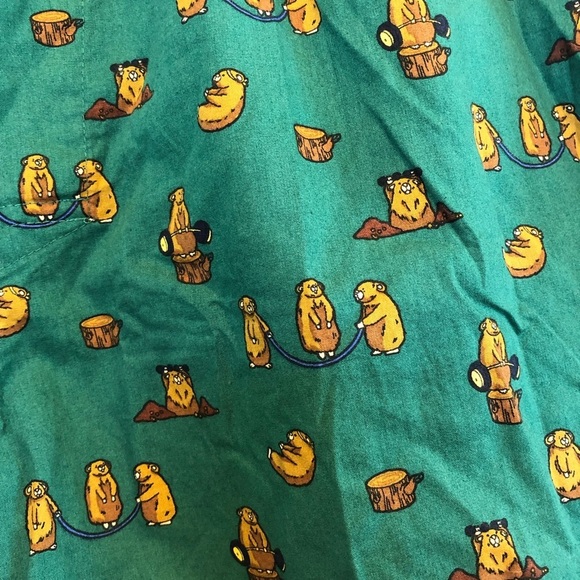 NWT JCrew Beaver Theme, Green Boxer Shorts, Large - Picture 3 of 5